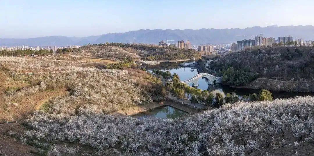 微信图片_20250331112217.jpg